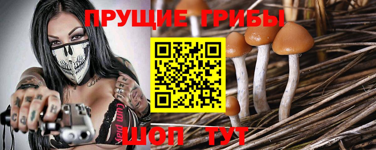 Галлюциногенные грибы Psilocybine cubensis  Псилоцибиновые грибы мухоморы  Вход с VPN  Горячий Ключ 