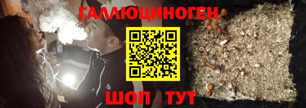 Псилоцибиновые грибы мухоморы Горячий Ключ
