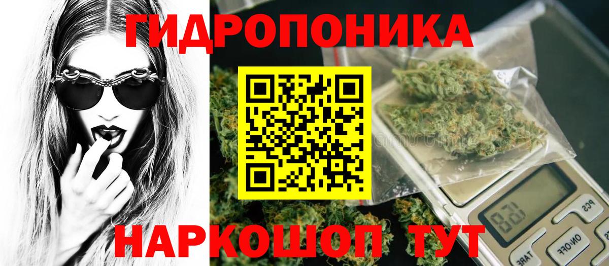 Каннабис план  Каннабис Amnesia  Горячий Ключ  Марихуана гибрид  Вход с VPN 